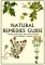 Natural Remedies Guide